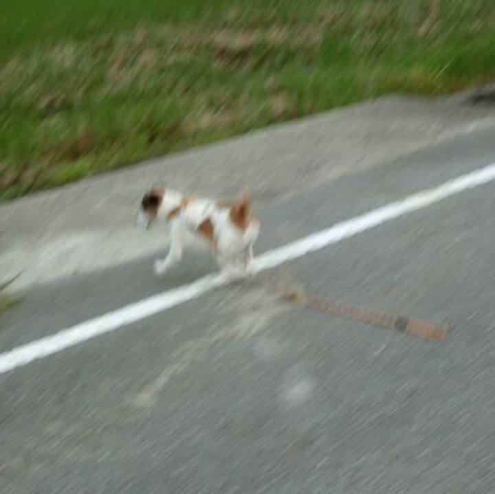 E79d247a 604e 4b49 accf 13bb8d1e93d6