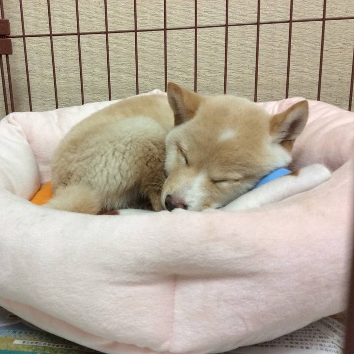 E79d7bce b664 4e29 a5bf b1d4c2c0a769