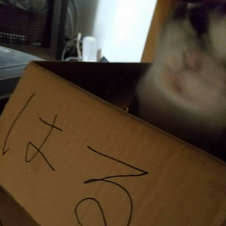 E79d7cf0 da26 4ed9 9b90 a62d5819cc76