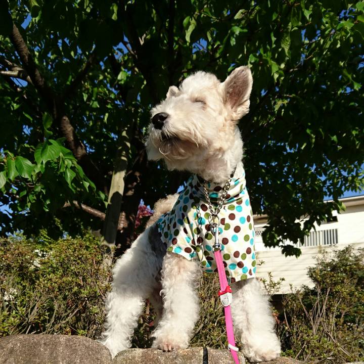 E79ded78 08a8 4872 be91 fb899673ccab