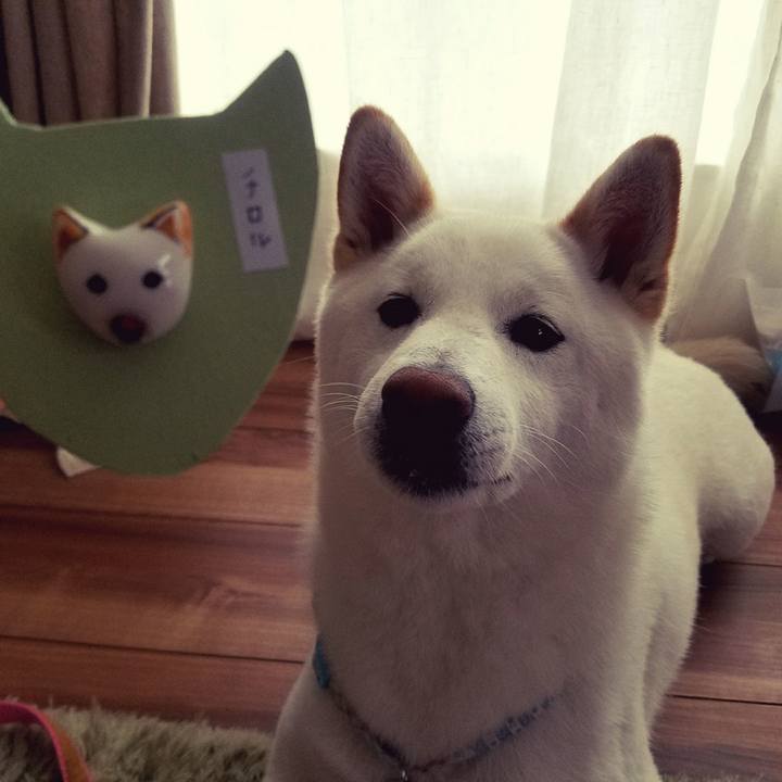 E79e58c4 b3f1 4533 b539 21cfea13163b