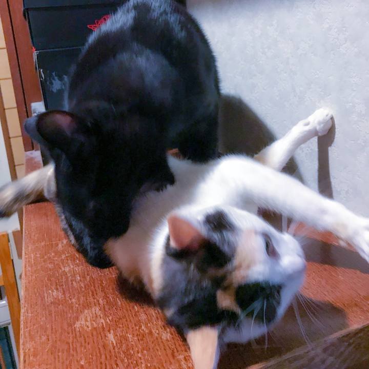 E79f04a0 c24d 4fef aa5d a339f98710ae