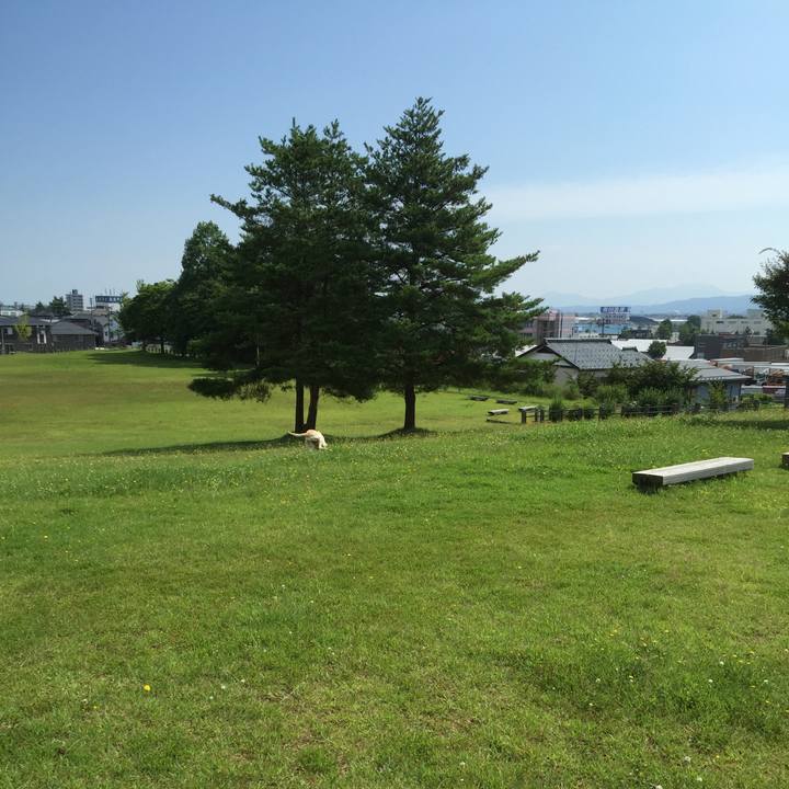 E79f4d9f 2cb5 408b 9f53 7e9fa5cdd8f8