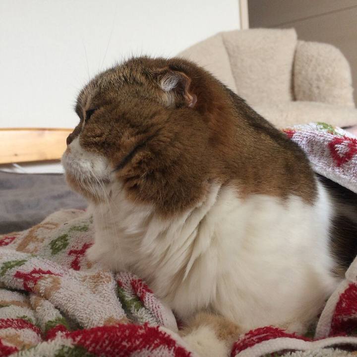 E79f9ed7 251e 409b aa94 9179c32a2790