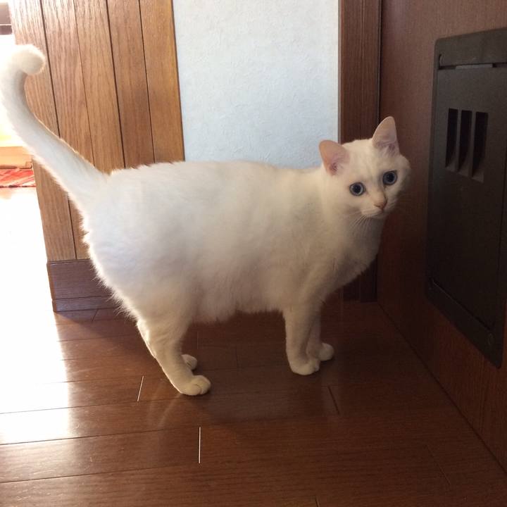 E79fe9db 150a 4087 995b 2a372ad19436