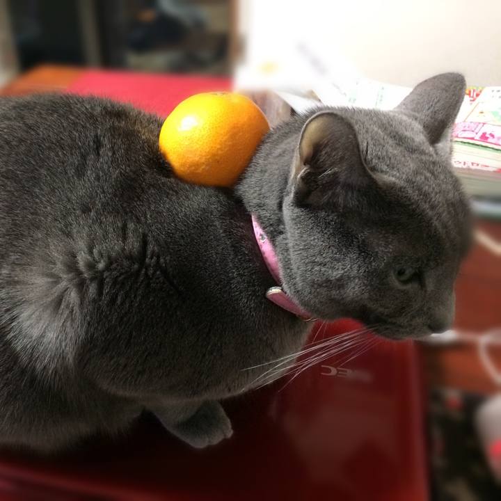 E7a03923 83f2 4164 bbdc f22d095f9a6c