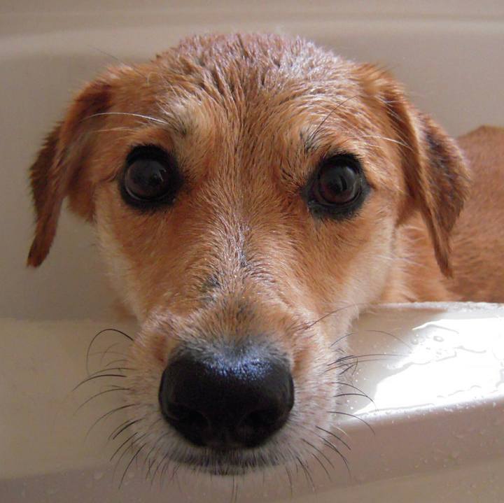 E7a0ac25 678f 4bda a467 ebd0d9eab5a1