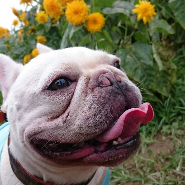 E7a0caa5 e0db 405e b0b4 1354fd62c5f5