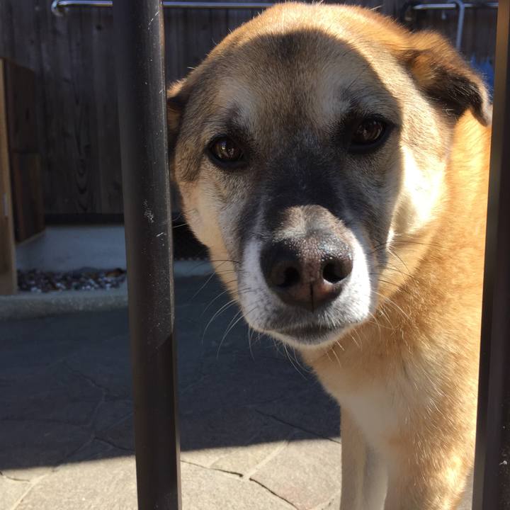 E7a18517 9e65 4d38 9b38 9ca9fbd5640e