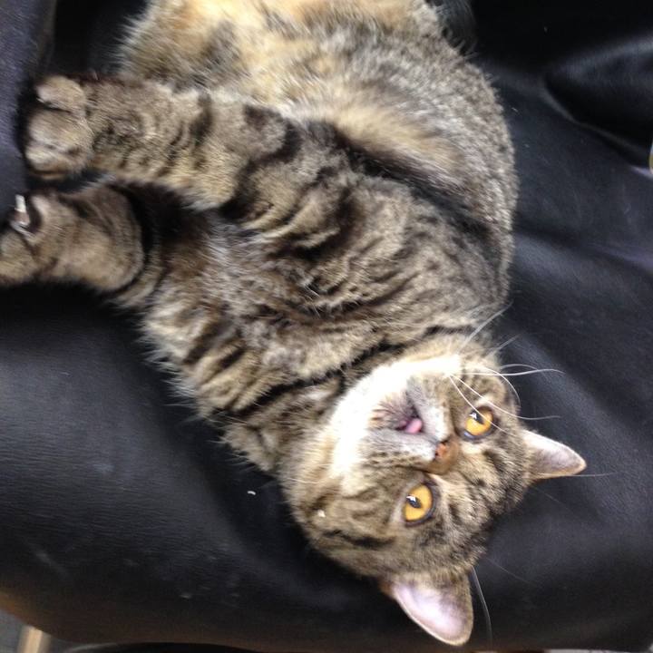 E7a18c3b 1083 419e b089 553733efaa59