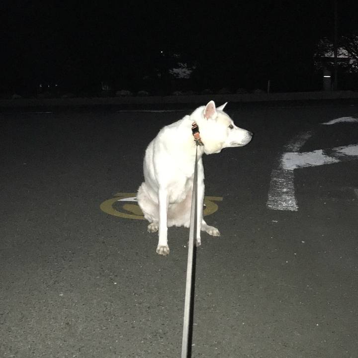 E7a24b3a 1cad 4855 af3c e3bc1312274f