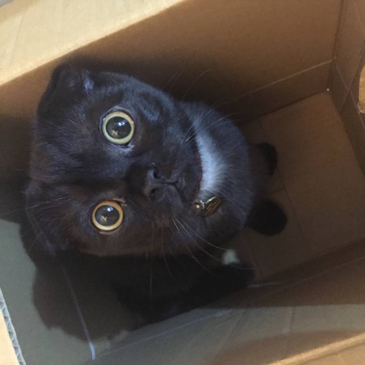 E7a34a77 42ff 4c36 9cb4 efcf995a4c08