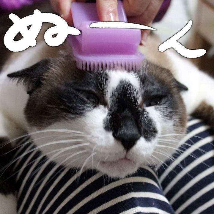 E7a42df5 8278 40a3 8a86 6dcd72295939