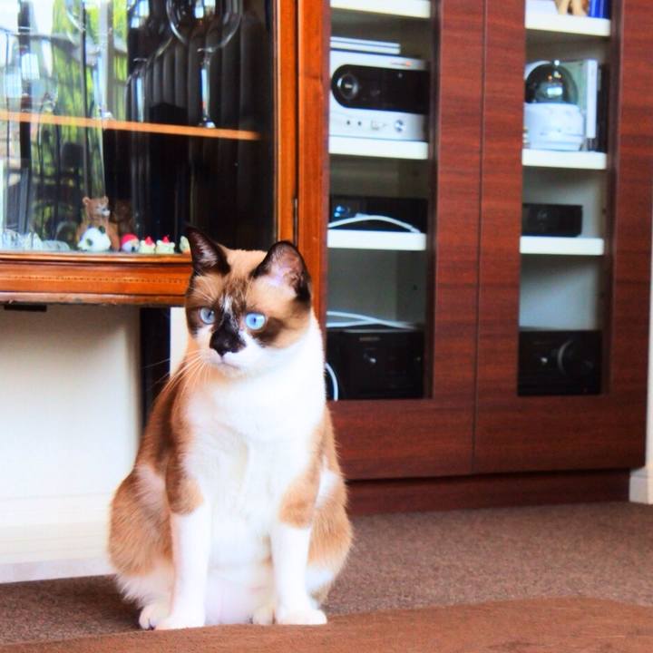 E7a4f3bb 50f7 4fc0 b516 4414b72ad81e