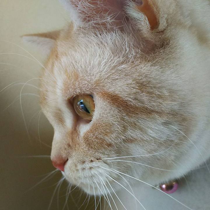 E7a502d7 3edf 4499 8288 7271343dccd8