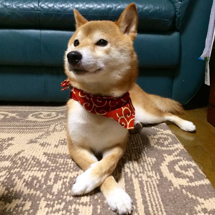 E7a5f1f0 8e0b 435e 85a7 6e0657fce81e