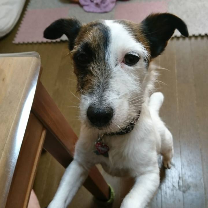 E7a659d3 e010 4c0d 8777 bf39cda51e16