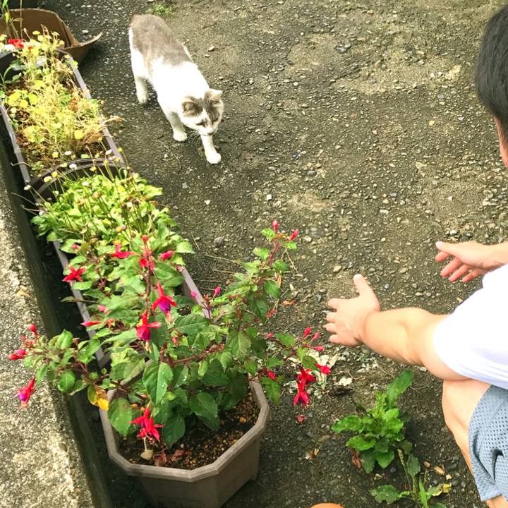 E7a6651a 42b1 4758 a608 98d732f3feac