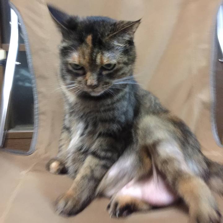 E7a7767c eeb1 4238 858f fa727315582d