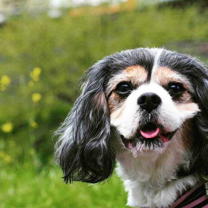 E7a78dc5 fd8c 4462 b6f8 444cfbaabdb1