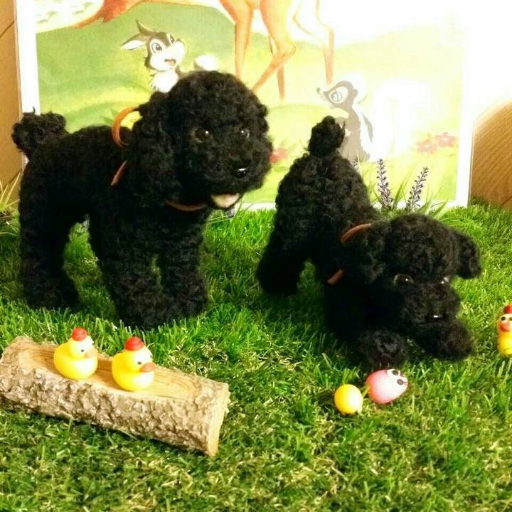 E7a7edfc 95b8 409c acc5 a1c365b5d42d