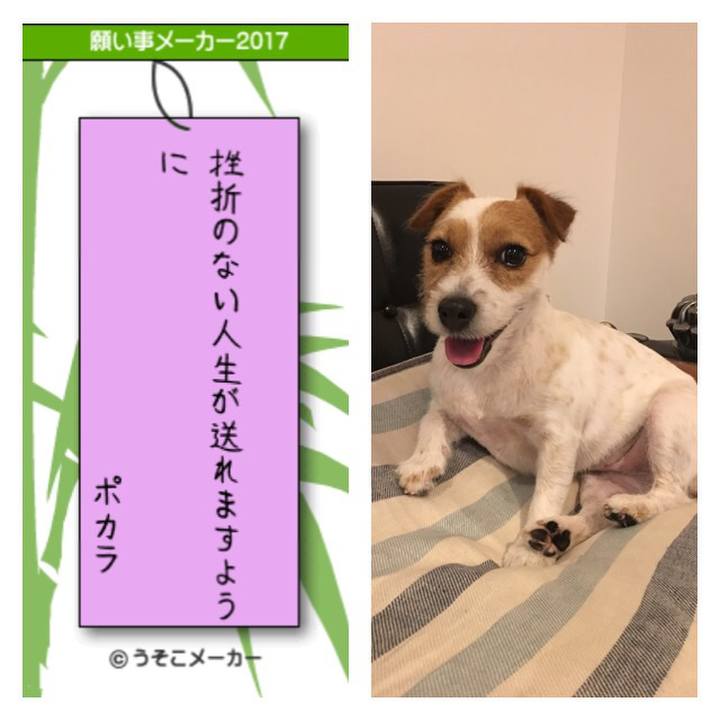 E7a80589 59b2 4be6 be85 fd7a272e8227