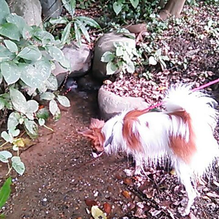 E7a8cc3d 0930 4f55 867f 1b5041196a48