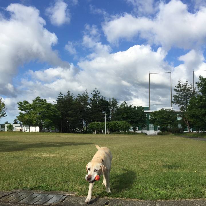 E7a9aefa d202 4e61 908d 33722b69e793