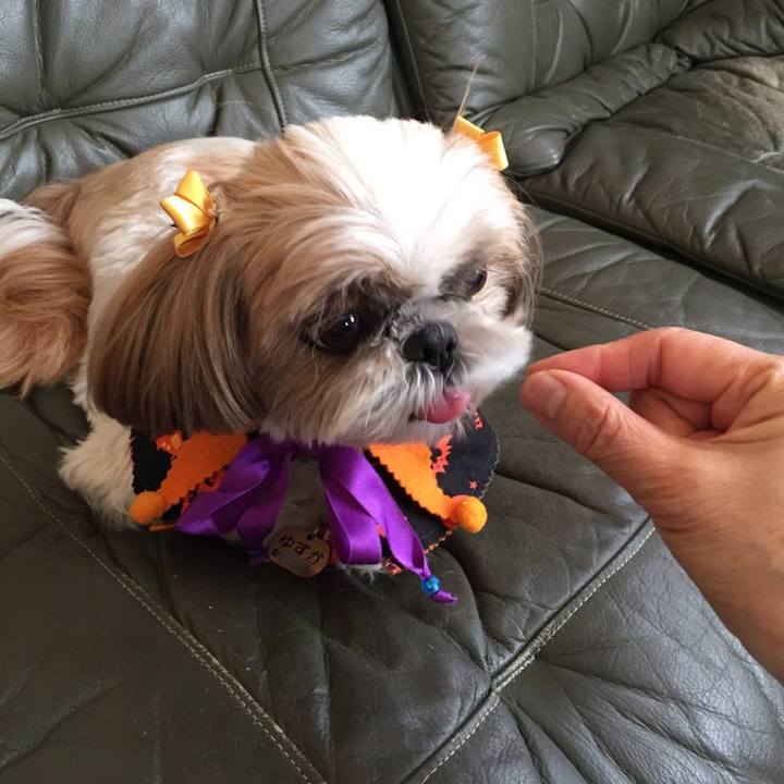 E7aa4bc3 68ff 465b 946b d613d547a3dd