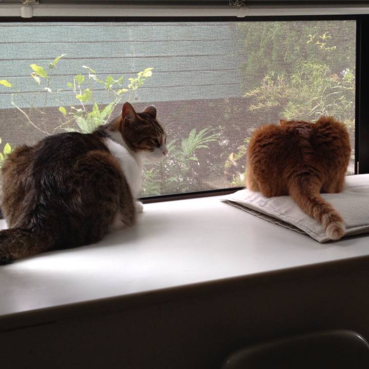 E7aa4eca 7d2a 4132 85c0 4f74065b9f5f