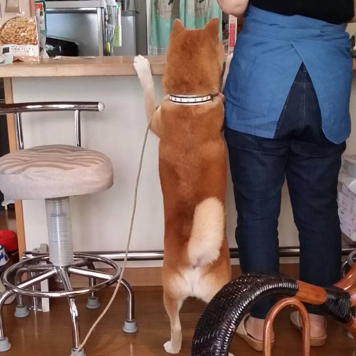 E7ab93a1 a85b 46a7 97ab 9d263f5823c0