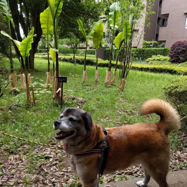 E7abfe74 08ce 4c2a 84ea ec0c1bdf5ecb