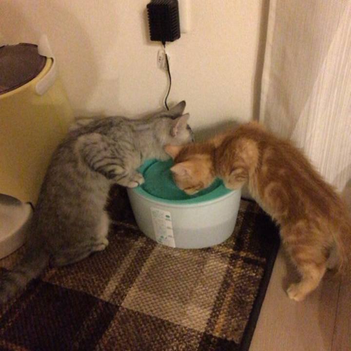 E7ac53af 1536 412d 905c 8a76c00fb412