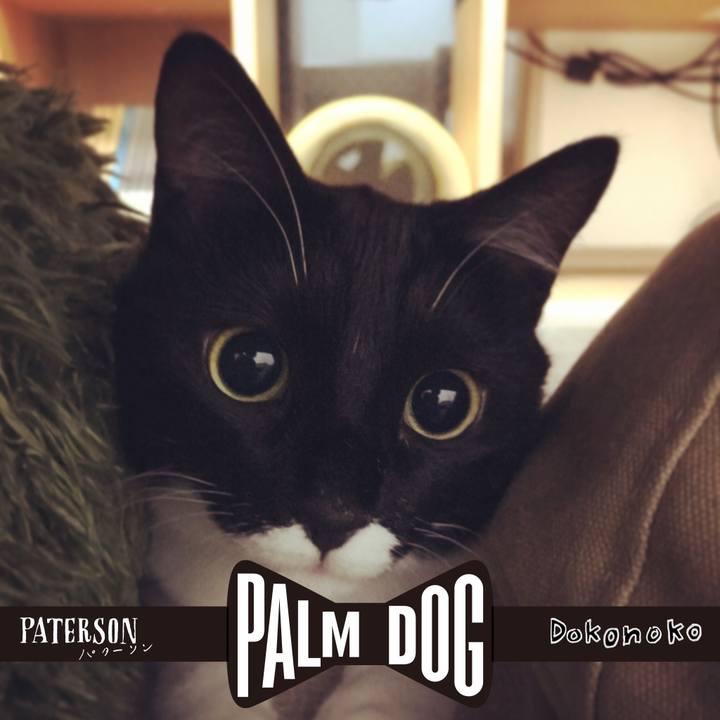 E7aca8e9 ef54 4c25 b116 b0532b77d93b