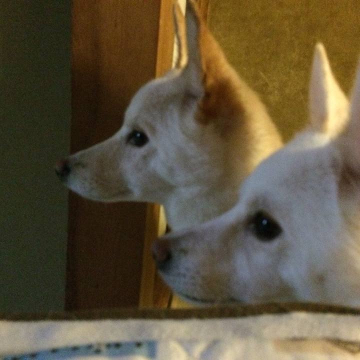 E7ad1bbe 2734 41cc 85ff 9e1fe0eaa9ac