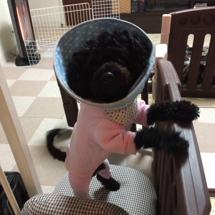 E7ad694d 633c 4495 9e80 783d01c3b6ba