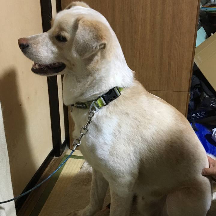 E7adc40f 7679 4e33 aef3 53167f60458a