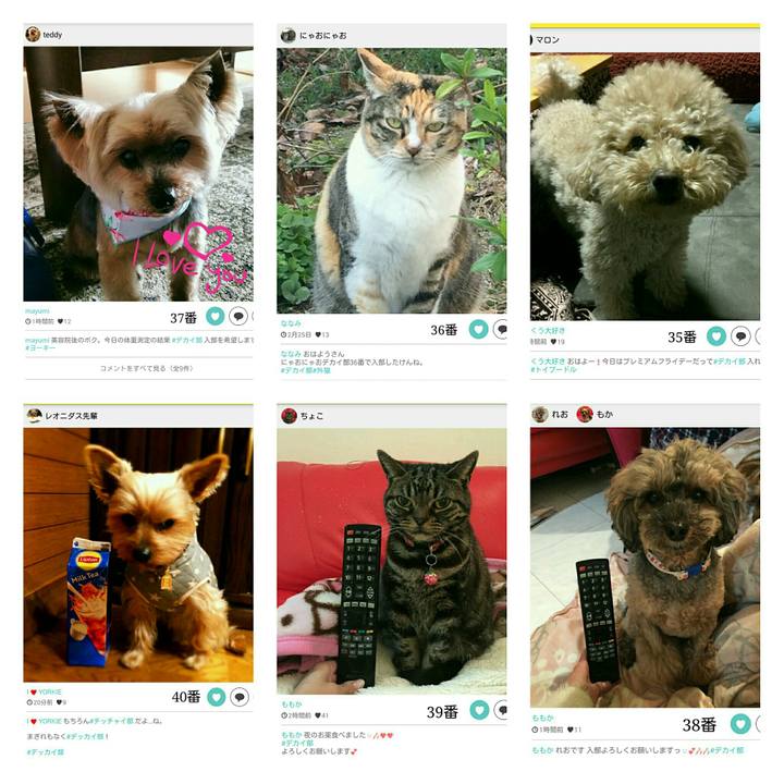 E7add803 a592 441c 8d62 7b0a61d5a19b