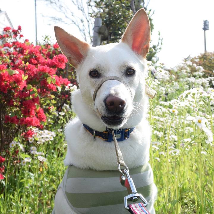 E7adf09d 58cd 4126 b15d decec5b70dab