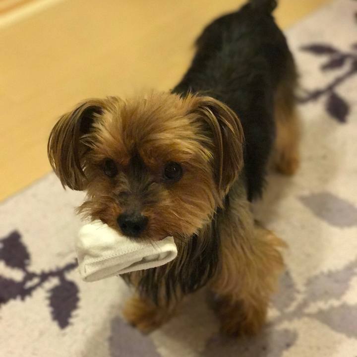 E7aed6db ba02 49cc ad27 7955a53ff5f0