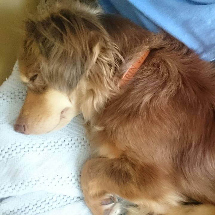 E7af7638 6dd5 43fe ba71 4969d9f72ce5