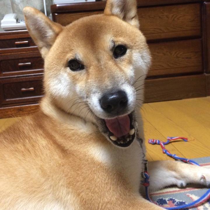 E7af8062 fee8 4047 90e8 e9e688032066