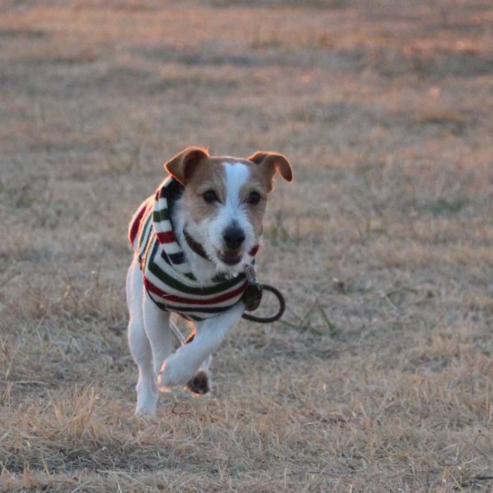 E7b08908 e617 4b57 ac8e 1d69c7c7e371