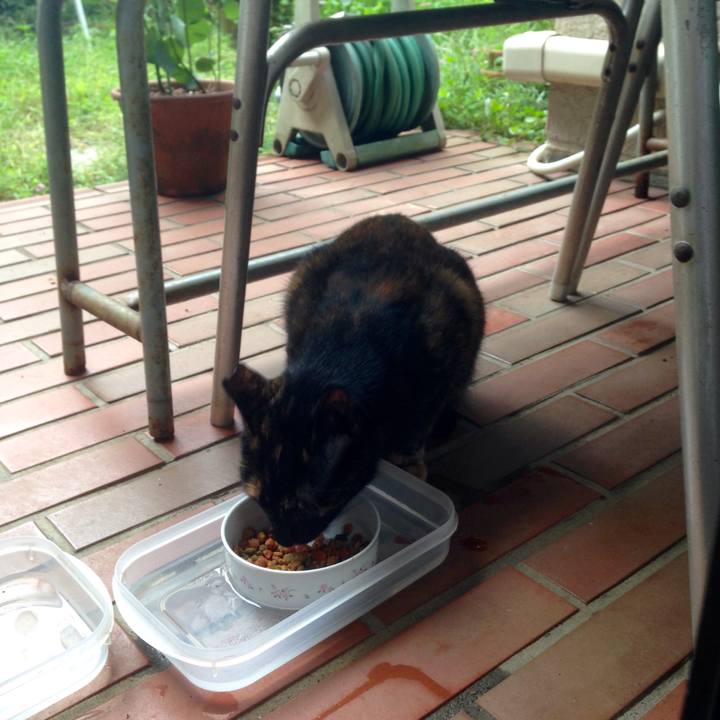 E7b0e26e bdda 4b77 a97f c112d2c8ea33