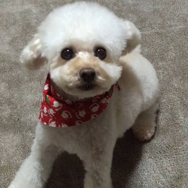 E7b11227 daa4 4247 822e 7627abc7cd60