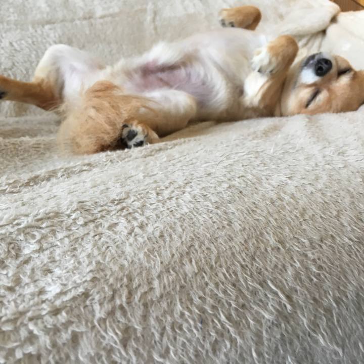 E7b1e54b 37bd 4d03 a55b 21ef3e387105