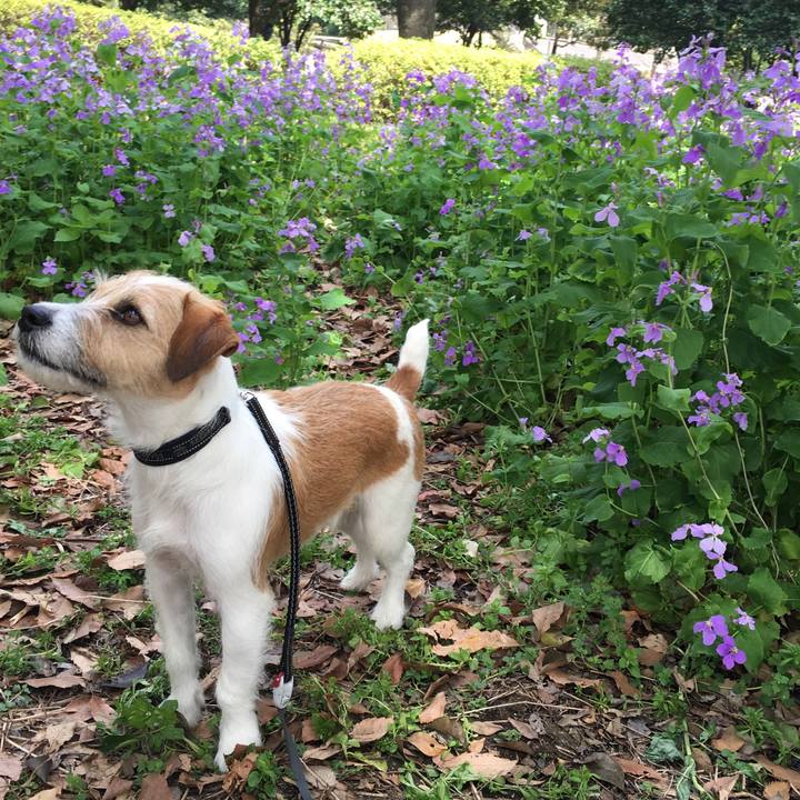 E7b28060 79cf 46eb a09c 2f5e4bce8f9c