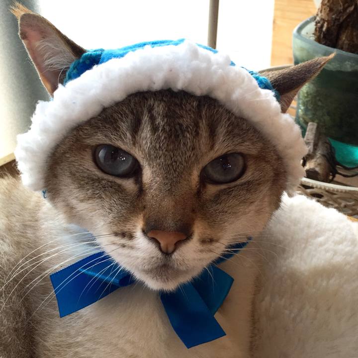 E7b28872 0988 440d 89dd 89e0ebbad80d