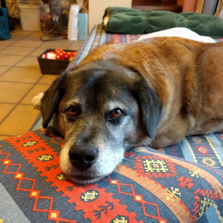 E7b2e243 e451 40d8 9a44 ea6de83b9431