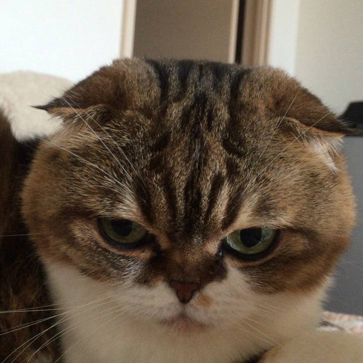 E7b30aa6 54c1 4ea0 a87b d141ec588072